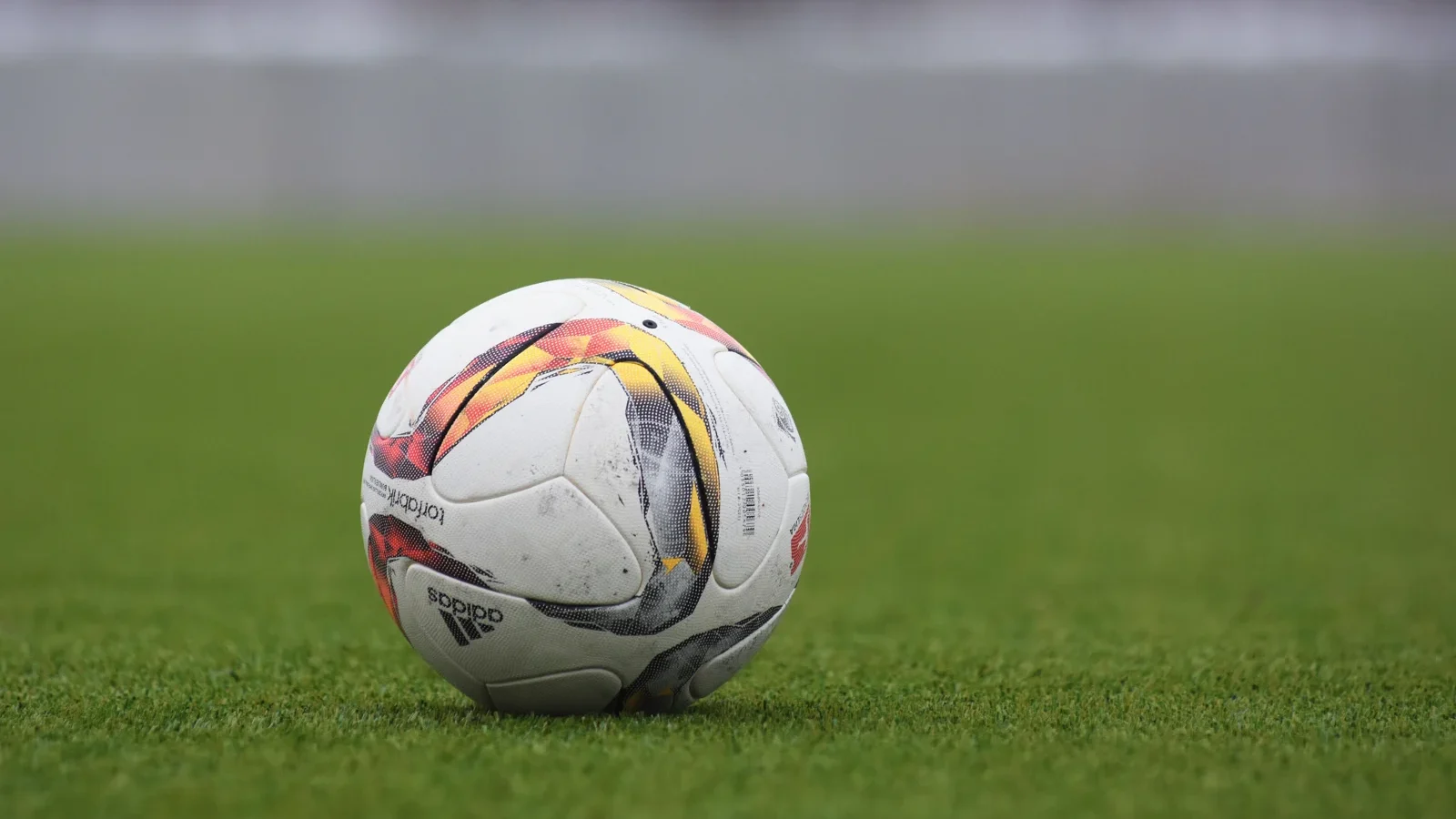 Un ballon de football posé sur une pelouse